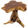 Table basse Root 40cm Teak