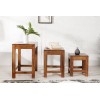 Table basse Monsoon set de 3